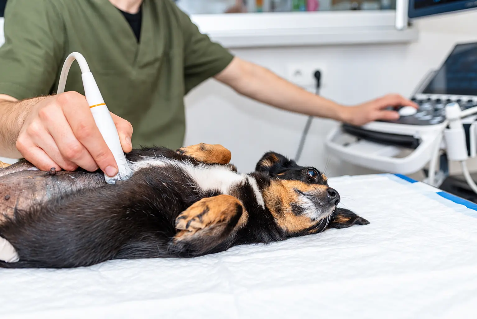 Ultrasound Scanning