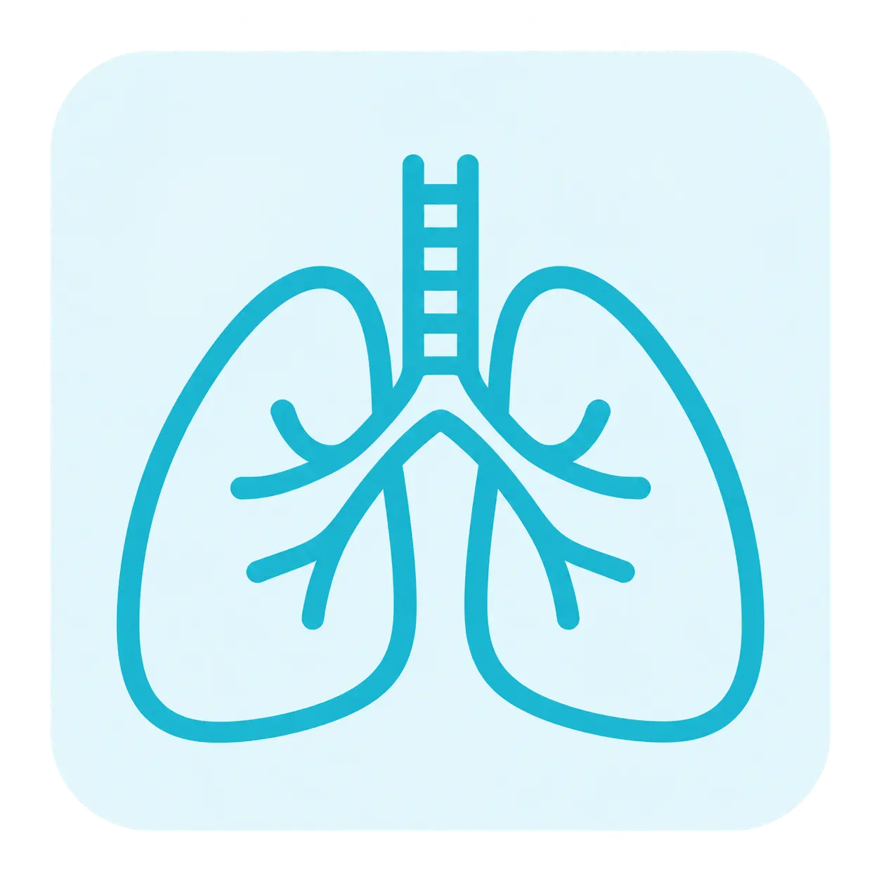 Lungs illustration for difficulty breathing