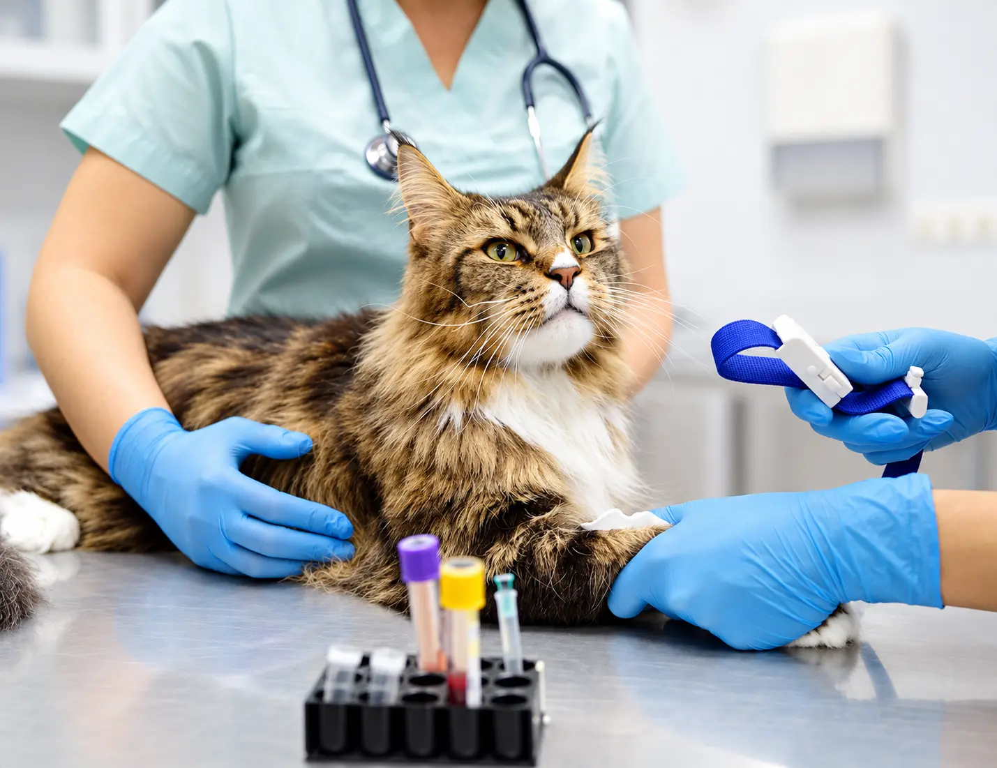 In-House Blood Laboratory